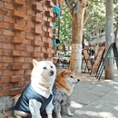 昆明旅游 缩略图 7