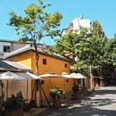 昆明旅游 缩略图 10