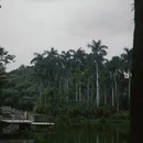 广州旅游 缩略图 3