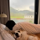 上饶旅游 缩略图 2