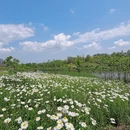 成都旅游 缩略图 7