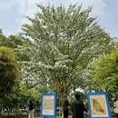 南京旅游 缩略图 6