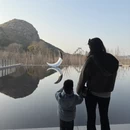 苏州旅游 缩略图 12