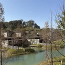 东莞旅游 缩略图 4