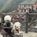 丽水旅游 缩略图 13