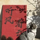 丽水旅游 缩略图 8