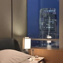 上海旅游 缩略图 5