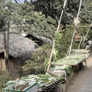 丽水旅游 缩略图 11