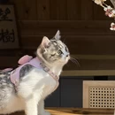 丽水旅游 缩略图 15