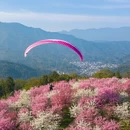 贵阳旅游 缩略图 2