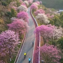 贵阳旅游 缩略图 4
