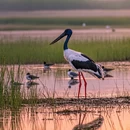 沈阳旅游 缩略图 10