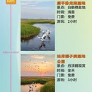 沈阳旅游 缩略图 1