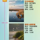 沈阳旅游 缩略图 2