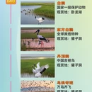 沈阳旅游 缩略图 3