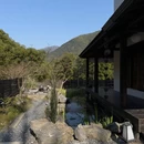 黄山旅游 缩略图 17