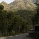 黄山旅游 缩略图 6
