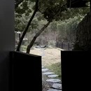 黄山旅游 缩略图 7