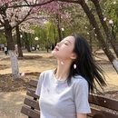 扬州旅游 缩略图 3