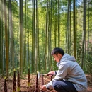 常州旅游 缩略图 6