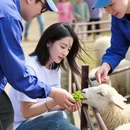 石家庄旅游 缩略图 5