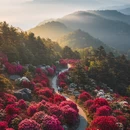 云浮旅游 缩略图 2