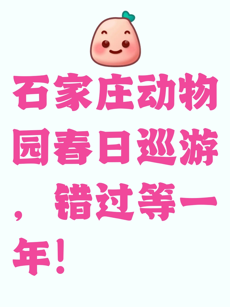石家庄旅游
