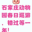 石家庄旅游 缩略图 1