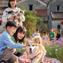江门旅游 缩略图 4