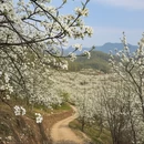 红河旅游 缩略图 7