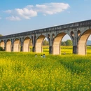 红河旅游 缩略图 4