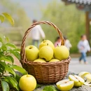 红河旅游 缩略图 8