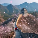 广元旅游 缩略图 2