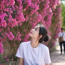 崇左旅游 缩略图 6