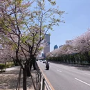 香港旅游 缩略图 8