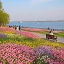 芜湖旅游 缩略图 4