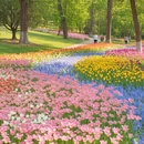 芜湖旅游 缩略图 3
