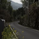 黄山旅游 缩略图 9