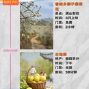 红河旅游 缩略图 2
