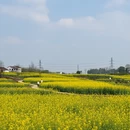 芜湖旅游 缩略图 5