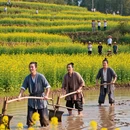 上饶旅游 缩略图 7