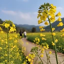 上饶旅游 缩略图 11