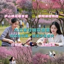 九江旅游 缩略图 1