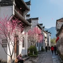 上饶旅游 缩略图 12