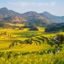 上饶旅游 缩略图 8