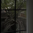 惠州旅游 缩略图 5