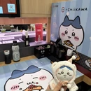 上海旅游 缩略图 17
