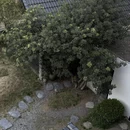 黄山旅游 缩略图 18
