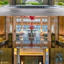 温州旅游 缩略图 11