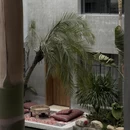 惠州旅游 缩略图 10